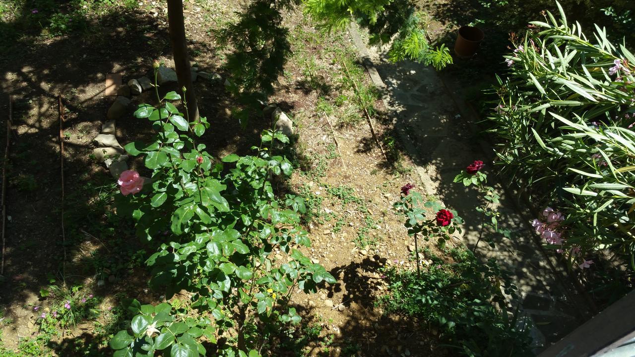 La Villa Nei Fiori Florens Exteriör bild